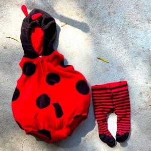 Ladybug costume - hooded with striped tights!